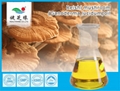 Nutrition Oil 1