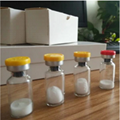 99% High Purity and Quality Bodybuilding Peptide Ppt 1411 CAS No. 189691-063 2