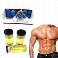 10ml Vial 500ml 1L Bottle Aas Oil Te Tc Finished Bodybuilding Oils