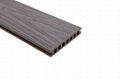 Co-Extrusion WPC Decking with Circular Holes 140mm*24mm 2