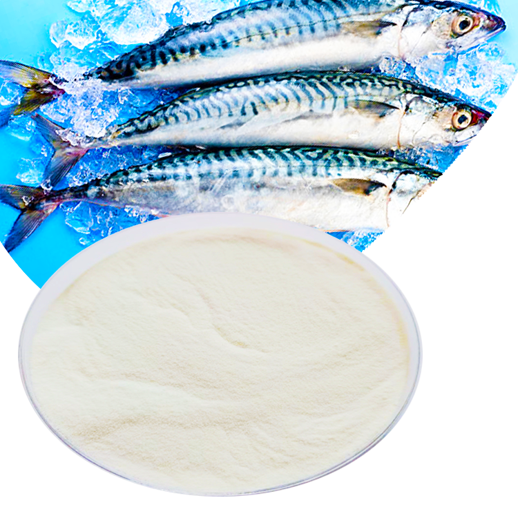 Factory low MOQ price OEM fish collagen peptide powder 2