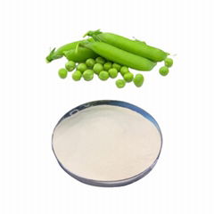 Wholesale Price Pea Peptide Pea Collagen Peptide Powder skin care