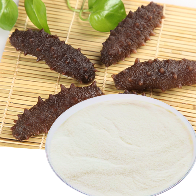 Natural Animal Extract Sea Cucumber collagen peptide powder amazon