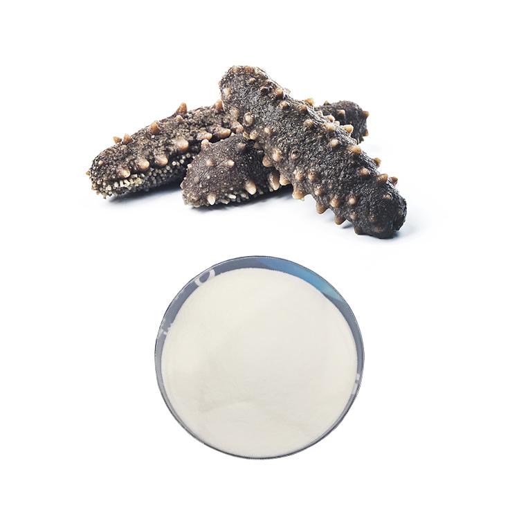 Natural Animal Extract Sea Cucumber collagen peptide powder amazon
