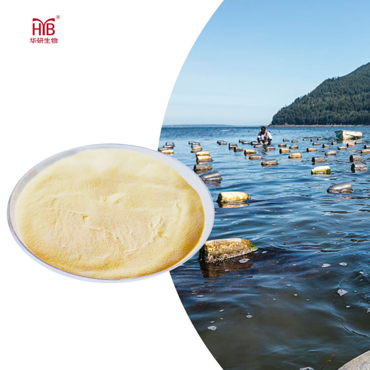 Natural Animal Extract Sea Cucumber collagen peptide powder amazon