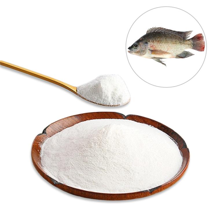 Hot Sales Fish Collagen Powder From Tilapia Fish Scale/Skin collagen peptides po 2