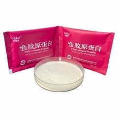 Cheap price qualified finished hydrolyzed fish collagen powder