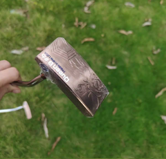 New Bettinardi Queen B 6 (Hot Product - 1*)