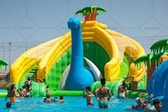 Large Inflatable Water Slides, Inflatable Dual Lane Slides