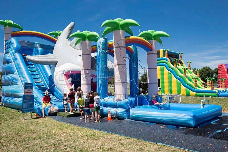Lilytoys newest sea world shark theme inflatable water pool slides 1