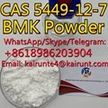 BMK Glycidic Acid sodium salt CAS 5449-12-7 2