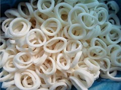 Frozen Squid Ring