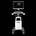 portable ultrasound machine for veterinary animal