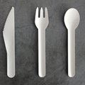 Biodegradable Paper Pulp Bamboo Cutlery