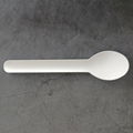 Biodegradable Paper Pulp Bamboo Cutlery Disposable Spoon
