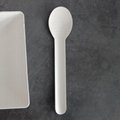 一次性使用环保勺子甜品勺竹浆纸浆模塑可降解无污染 4