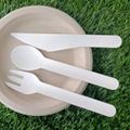 Paper Pulp Bamboo Cutlery Disposable Dessert Fork 5