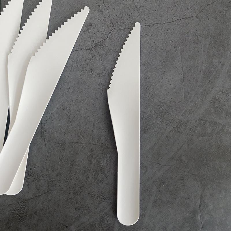 Paper Pulp Bamboo Cutlery Disposable Dessert Knife 2