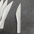 Paper Pulp Bamboo Cutlery Disposable Dessert Knife