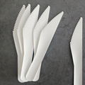 Paper Pulp Bamboo Cutlery Disposable Dessert Knife 5