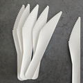 Paper Pulp Bamboo Cutlery Disposable Dessert Knife