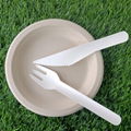 Paper Pulp Bamboo Cutlery Disposable