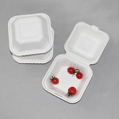 6 Inch Paper Pulp Biodegradable Bagasse Sugarcane Burger Box