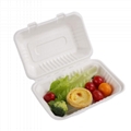 9*6 Inches Bagasse Sugarcane Eco-Friendly Packaging Disposable Lunch Box 4