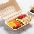 9*6 Inches Bagasse Sugarcane Eco-Friendly Packaging Disposable Lunch Box