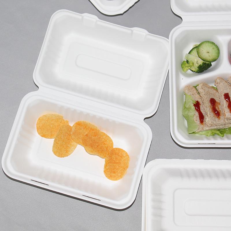 9*6 Inches Bagasse Sugarcane Eco-Friendly Packaging Disposable Lunch Box 1