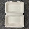 9*6 Inches Bagasse Sugarcane Eco-Friendly Packaging Disposable Lunch Box