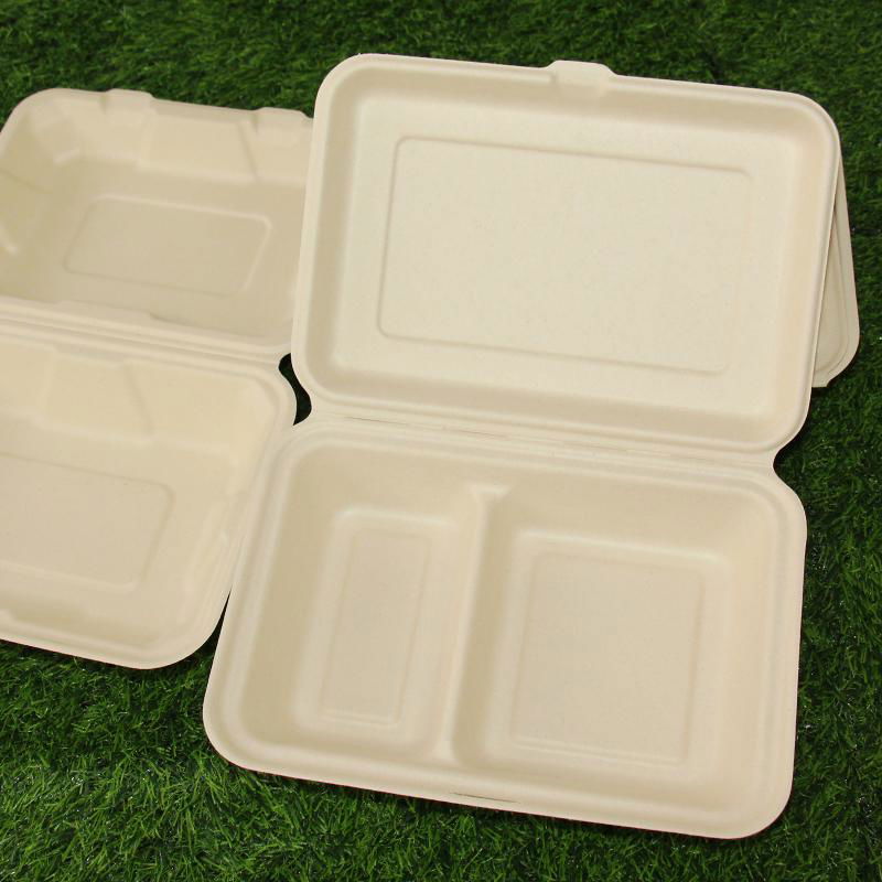 2 Compartments Biodegradable Packaging Sugarcane Bagasse 9x6 Inch Lunch Box