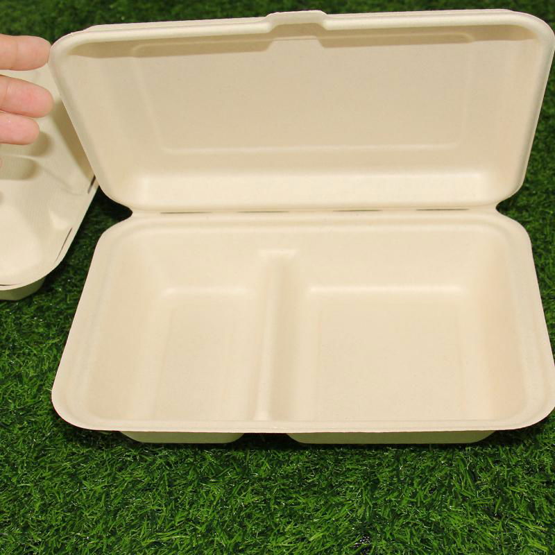 2 Compartments Biodegradable Packaging Sugarcane Bagasse 9x6 Inch Lunch Box 3