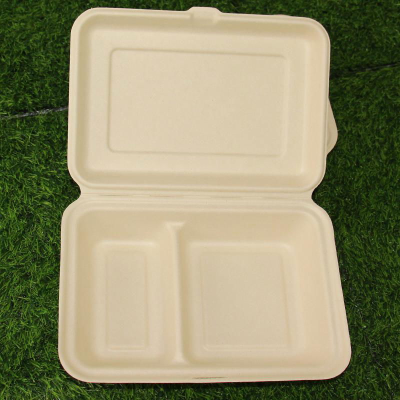 2 Compartments Biodegradable Packaging Sugarcane Bagasse 9x6 Inch Lunch Box 4