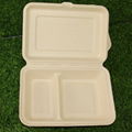 一次性使用环保餐具9x6寸2格双格外带连盖餐盒竹浆纸浆模塑可降解 4