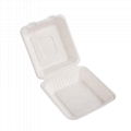 Customized 8 Inch High Quality Sugarcane Bagasse Clamshell Lunch Box 5