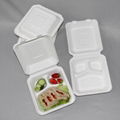 Customized 8 Inch High Quality Sugarcane Bagasse Clamshell Lunch Box 2