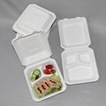 Customized 8 Inch High Quality Sugarcane Bagasse Clamshell Lunch Box