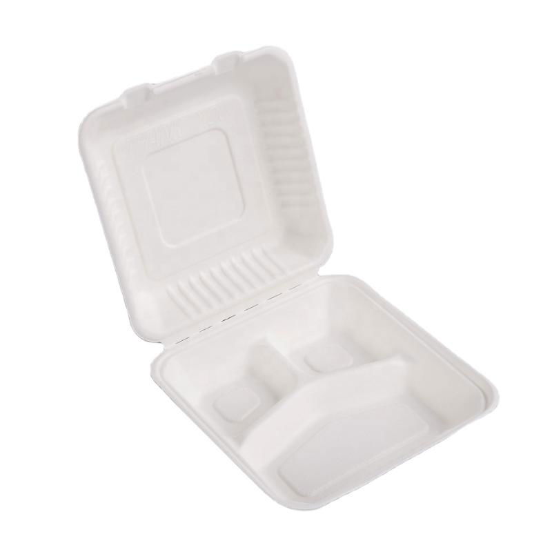 Customized 8 Inch High Quality Sugarcane Bagasse Clamshell Lunch Box 4