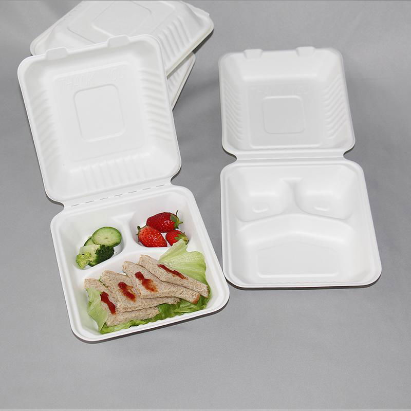 Customized 8 Inch High Quality Sugarcane Bagasse Clamshell Lunch Box 3