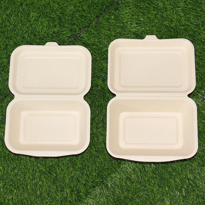 600ml Clamshell Bagasse Sugarcane Paper Box Disposable Takeaway Lunch Box