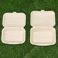 600ml Clamshell Bagasse Sugarcane Paper Box Disposable Takeaway Lunch Box 1