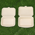 600ml Clamshell Bagasse Sugarcane Paper