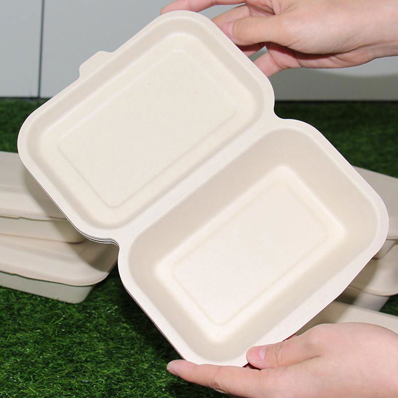 600ml Clamshell Bagasse Sugarcane Paper Box Disposable Takeaway Lunch Box 2