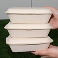 600ml Clamshell Bagasse Sugarcane Paper Box Disposable Takeaway Lunch Box 3