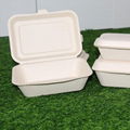 600ml Clamshell Bagasse Sugarcane Paper Box Disposable Takeaway Lunch Box