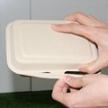 600ml Clamshell Bagasse Sugarcane Paper Box Disposable Takeaway Lunch Box 5