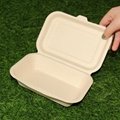 450ml Bagasse Sugarcane Paper Box Disposable Takeout Clamshell Lunch Box 2