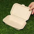 450ml Bagasse Sugarcane Paper Box Disposable Takeout Clamshell Lunch Box