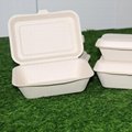 450ml Bagasse Sugarcane Paper Box Disposable Takeout Clamshell Lunch Box 3